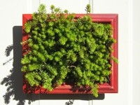 recyclart Patrick Hoesterey Picture Frame Planters